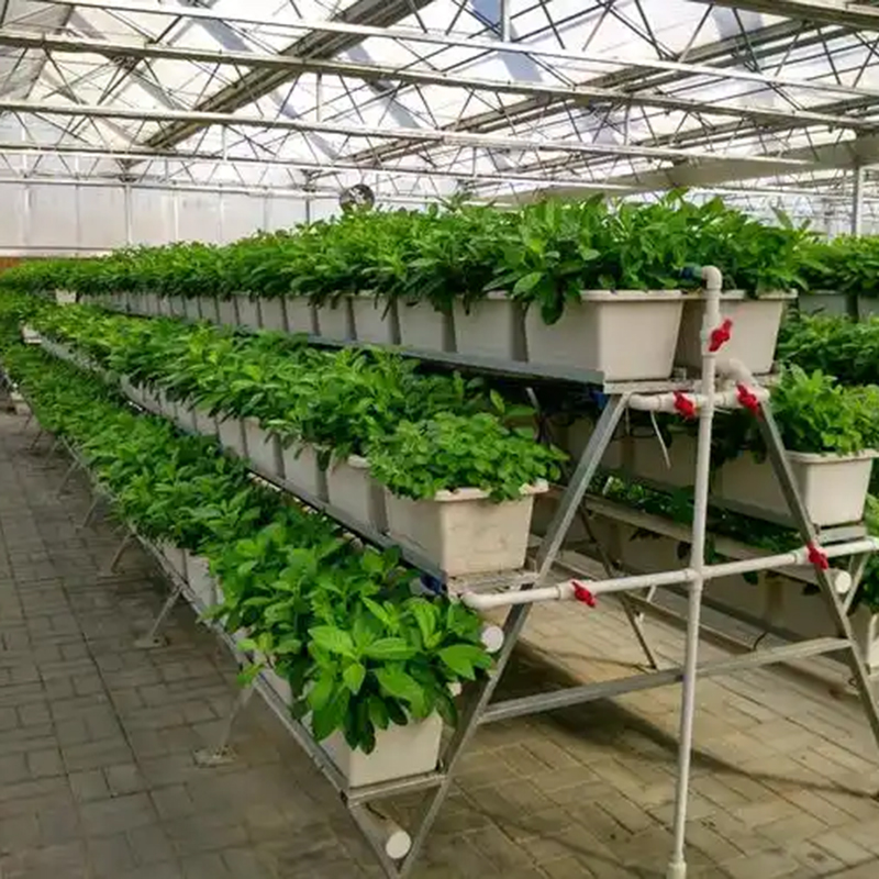 沈阳市植物工厂大棚 - 推荐